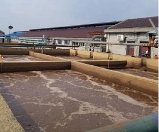 出水氨氮大于進(jìn)水氨氮，怎么回事？