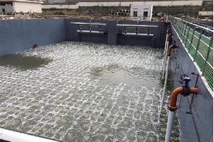 碳源的價(jià)格水漲船高，污水廠如何減少碳源投加量來降低成本？