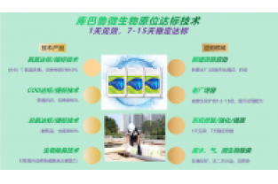 春節(jié)復(fù)工，生化系統(tǒng)快速修復(fù)，確保污水達(dá)標(biāo)排放