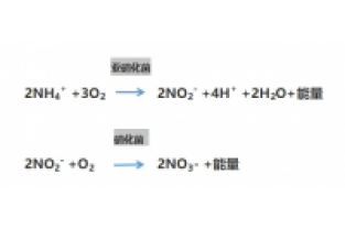 食品廢水氨氮超標(biāo)，你可以這么做