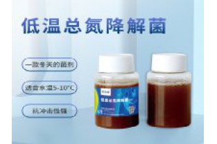 反硝化細(xì)菌在污水處理中的具體應(yīng)用是什么？