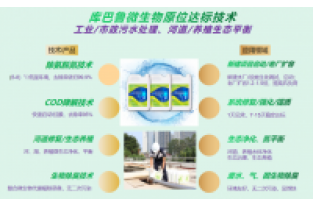 什么是氨氮激活菌，有什么作用